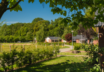 Uitzicht op gezinsbungalows in Holiday Park Mölke, Nederland, tussen het groen en bomen.