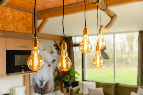 Hanging filament bulbs in a cozy lodge at Holiday Park Mölke, Netherlands, with a rustic wooden interior.