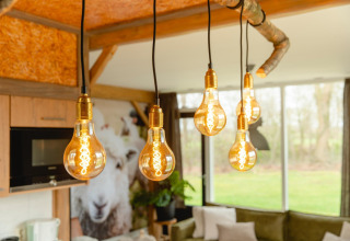 Hängende Glühbirnen in einer gemütlichen Lodge im Holiday Park Mölke, Niederlande, mit Holzelementen.