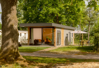Tiny Cabin moderne au Holiday Park Mölke aux Pays-Bas, entourée de verdure et espace détente extérieur.