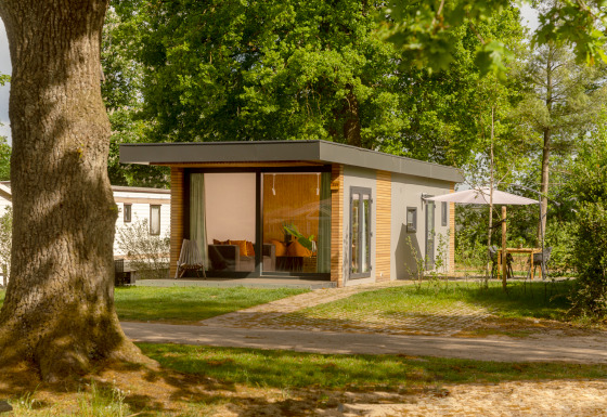 Moderne tiny cabin bij Holiday Park Mölke in Nederland, omgeven door groen en buitenzitplaats.