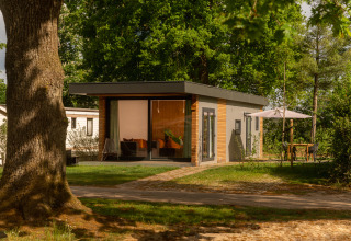 Moderna tiny cabin en Holiday Park Mölke en los Países Bajos, rodeada de árboles y área de descanso exterior.