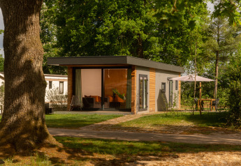 En moderne tiny cabin ved Holiday Park Mölke i Holland, omgivet af træer og udendørs siddeplads.