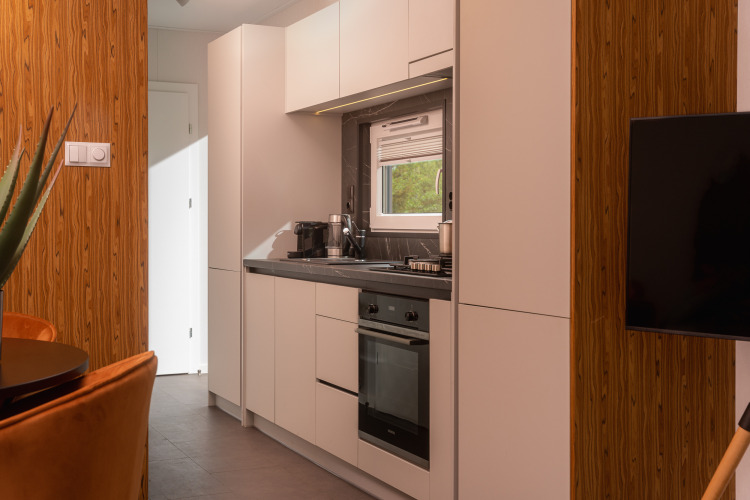 Cocina moderna y compacta en una Tiny Cabin en Holiday Park Mölke, Países Bajos, con gabinetes blancos.