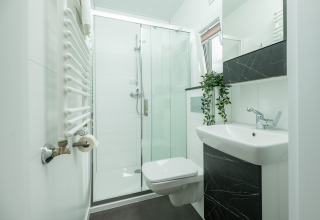 Bagno moderno con doccia in vetro, WC sospeso, lavandino e pianta in una Tiny Cabin a Holiday Park Mölke, Paesi Bassi.