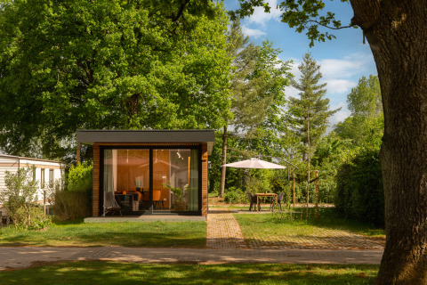 Lille hytte ved Holiday Park Mölke i Holland, omgivet af grønne træer og udendørs siddeområde med parasol.