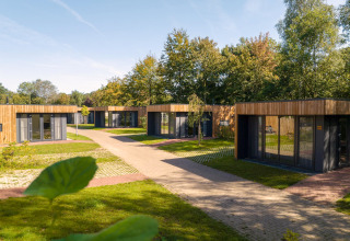 Chalets modernes Happy Oak Lodge au Holiday Park Mölke aux Pays-Bas, entourés de verdure et d’arbres.
