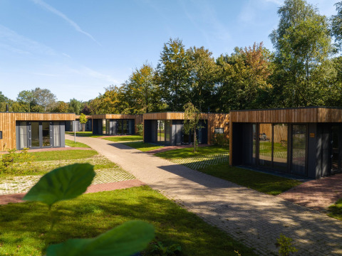 Moderne Happy Oak Lodge huisjes bij Holiday Park Mölke in Nederland, omgeven door bomen en groen.