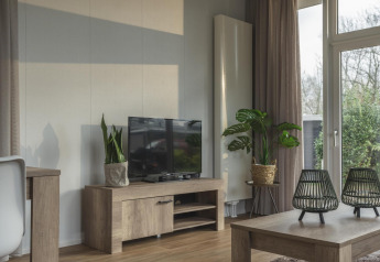 Stue i Cosy Cabin på Holiday Park Mölke, Holland, med tv, planter og stort vindue til haven.
