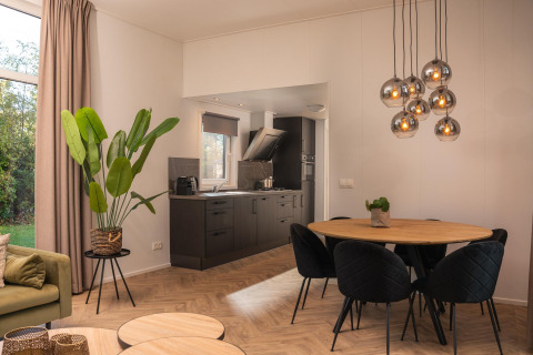 Moderne woonkamer en keuken in Nature Cabin bij Vakantiepark Mölke, met planten en eettafel.