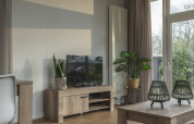 Gemütliches Wohnzimmer in der Cosy Cabin im Holiday Park Mölke mit TV, Pflanzen und Holzmöbeln.