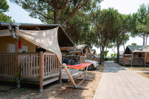 Safaritenten onder pijnbomen met houten veranda’s en hangmat voor een ontspannen glampingvakantie.