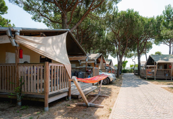 Safari tents with porches set in a shaded campsite among pine trees, featuring a hammock in front.