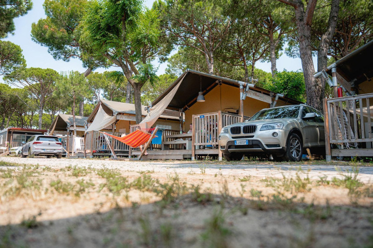 Safari tents in a wooded area with parked cars and a hammock at Villatent Outback campsite.