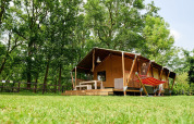 Safari-teltet Villatent Nomad med veranda og hængekøje på Recreatiepark de Lucht, Holland, omgivet af træer.