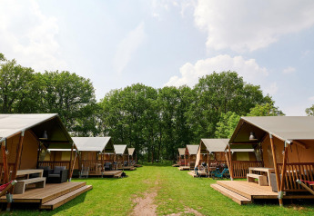 Safaritenten van Villatent Nomad bij Recreatiepark de Lucht, Nederland, op een grasveld met bomen.