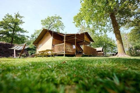 Tienda safari Villatent Ranger con porche de madera en Recreatiepark de Lucht, Países Bajos, rodeada de árboles.