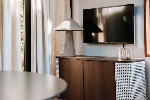 Sala moderna con armario de madera, televisor y lámpara en Tiny Wellness Cabin, Holiday Park De IJsvogel.