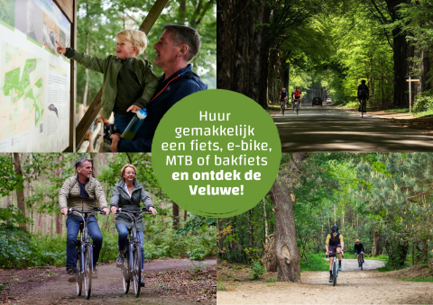 Family and cyclists explore the Veluwe, reading a map and biking through lush green forest trails.