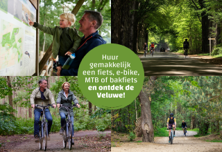 Familie en fietsers ontdekken de Veluwe, bestuderen een kaart en fietsen door het groene bos.