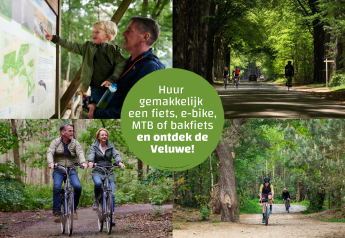 Famiglia e ciclisti esplorano la Veluwe leggendo una mappa e pedalando tra i sentieri nel verde.