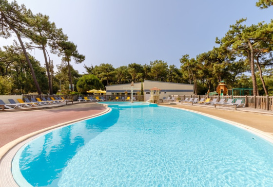 Udendørs swimmingpool med liggestole og skovområdet bagved på Camping Le Bois de la Gachère i Pays de la Loire.