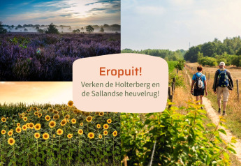 Cartel con paisajes, texto: '¡Eropuit! Explora Holterberg y la cresta de Sallandse!'