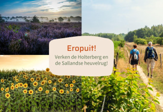 Manifesto con immagini naturali, testo: 'Eropuit! Esplora Holterberg e la Sallandse Heuvelrug!'