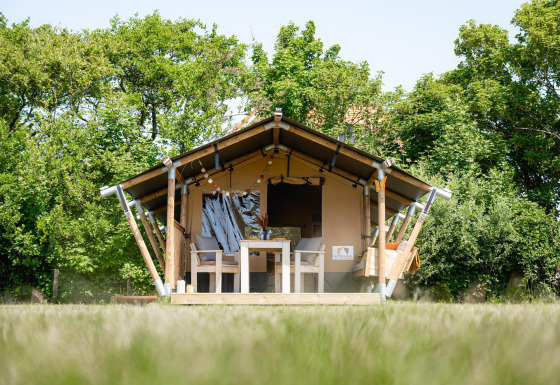 Tienda Safari Cozy con terraza y asientos, rodeada de naturaleza y árboles verdes, desayuno incluido.