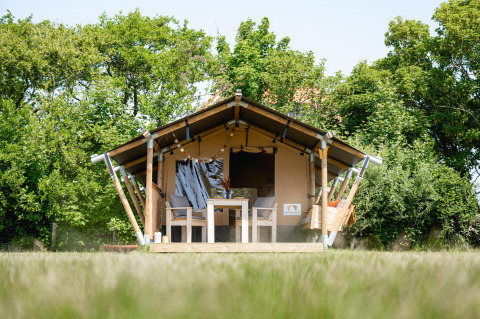 Tente safari Cozy avec terrasse et sièges, entourée de verdure et d’arbres, petit-déjeuner inclus.