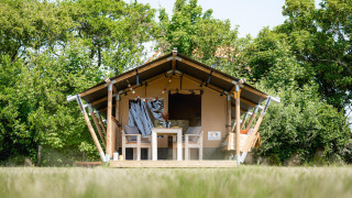 Safari-tent Cozy op houten terras met zitplek, omringd door bomen, zon en groen, ontbijt inbegrepen.
