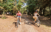 To kvinder cykler gennem en skov på en solrig dag i Camping Le Bois de la Gachère, Pays de la Loire, Frankrig.