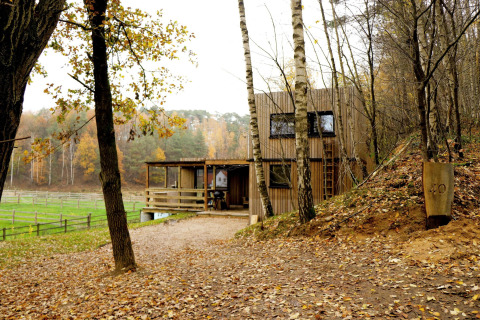 Casa diminuta moderna con fachada de madera junto al bosque, hojas otoñales, Shelter + jacuzzi.