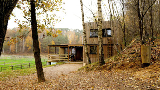 Casa diminuta moderna con fachada de madera junto al bosque, hojas otoñales, Shelter + jacuzzi.