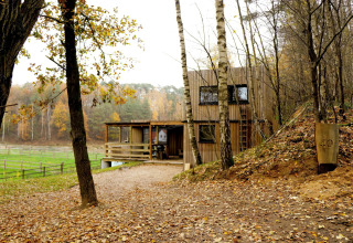 Tiny house moderna con facciata in legno al bordo del bosco, foglie autunnali, Shelter + jacuzzi.