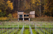 Cabane Shelter + jacuzzi chez Cosy Cabins dans la forêt du Limbourg, Belgique, entourée d’arbres d’automne.