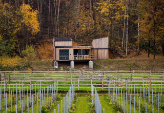 Pequeña cabaña Shelter + jacuzzi de Cosy Cabins en el bosque de Limburg, Bélgica, rodeada de árboles.