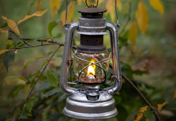 Una linterna vintage de queroseno con una llama encendida que cuelga de la rama de un árbol, rodeada de hojas verdes y amarillas.