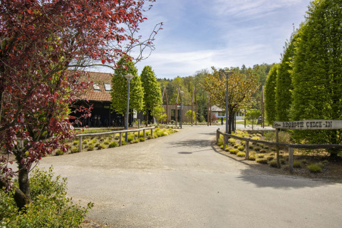 Entrance to a glamping site with a sign for reception check-in, surrounded by trees and landscaped paths.