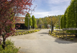 Ingresso di un sito glamping con un cartello per il check-in alla reception, circondato da alberi e sentieri paesaggistici.