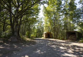 Glamping accommodation cabin nestled in a sunlit forest, with a wood storage shed and tall green trees nearby.