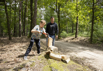 A boy chopping wood with an axe on a tree stump in a forest, supervised by an adult during a glamping trip.