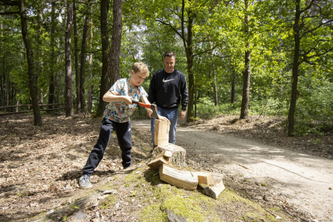 En dreng hugger træ med en økse på en træstub i en skov under opsyn af en voksen på en glampingtur.