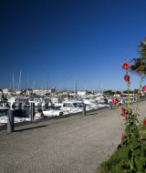 Både og blomster ved havnen i Les Sables-d'Olonne, Pays de la Loire, Frankrig under en klar blå himmel.