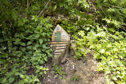 Pequeña casita de cuento en un tronco, rodeada de plantas, fotografiada en un alojamiento glamping.