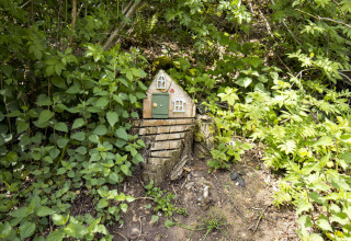 Klein sprookjeshuisje op een boomstronk, omgeven door planten, gefotografeerd aan een glampinglocatie.