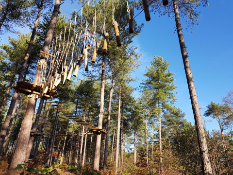 Avontuurlijk touwenparcours tussen hoge bomen bij een glamping, met platforms onder een blauwe hemel.