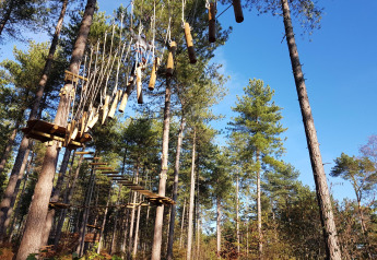 Percorso avventura tra alberi alti in un alloggio glamping, con piattaforme sospese in una foresta.