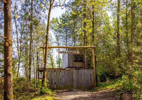 Entrada a un área de bienestar en plena naturaleza en un glamping, rodeada de árboles y luz solar.
