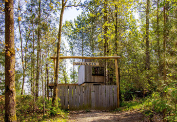 Ingresso dell’area wellness in mezzo alla natura, alloggi glamping tra alberi e luce primaverile.